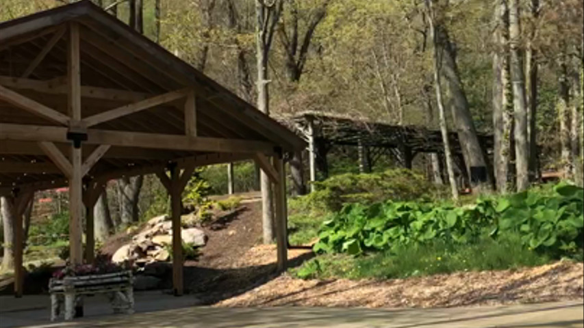 Img 1987 165288686017443