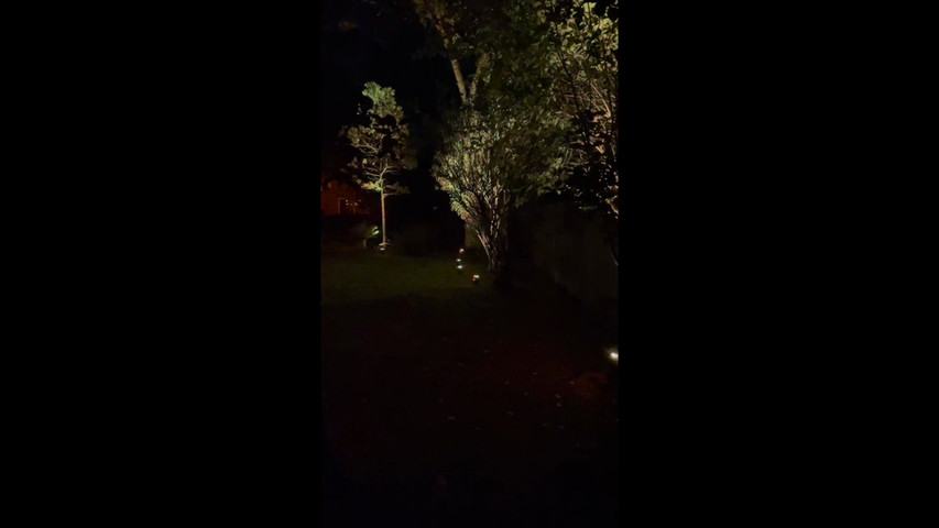 New Lights