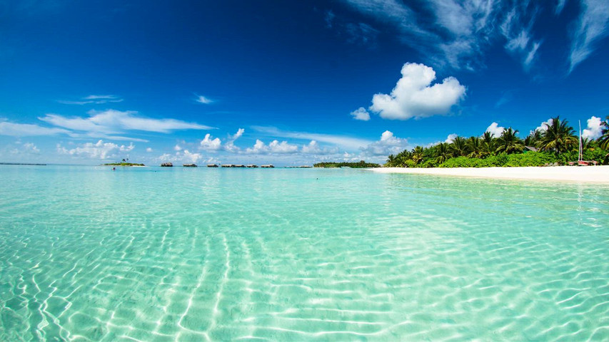 PARADISE WSTUDIO