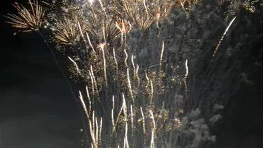 Whistling Fireworks and Wall of Fire