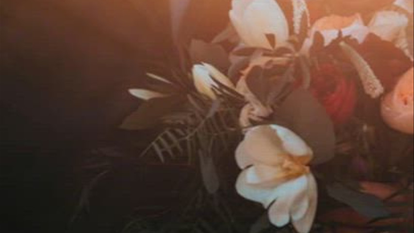 Ad-Vid-VSP-Weddings