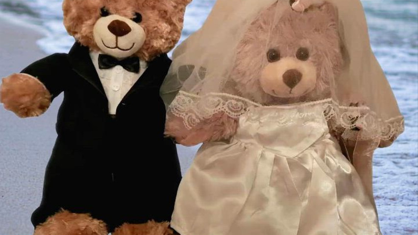 Bride & Groom on Wedding Day