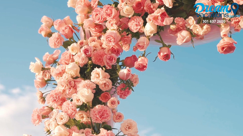 Royal - RIU Wedding Collection