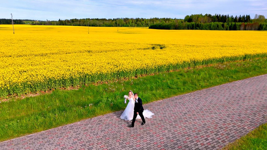 Drone View