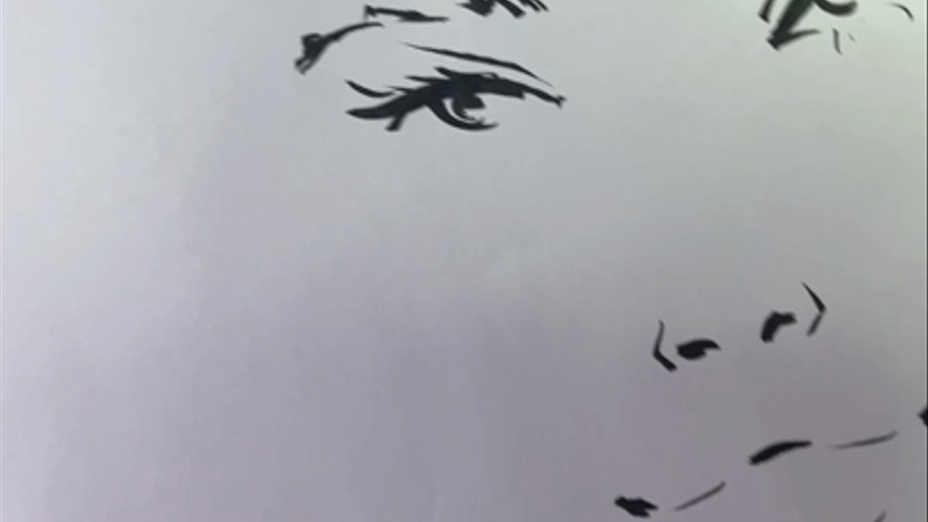 Hand sketching with ink