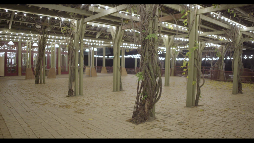 Arbor at night