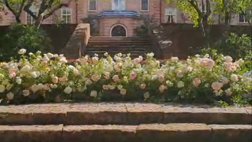 Mansfield Wedding 2023 