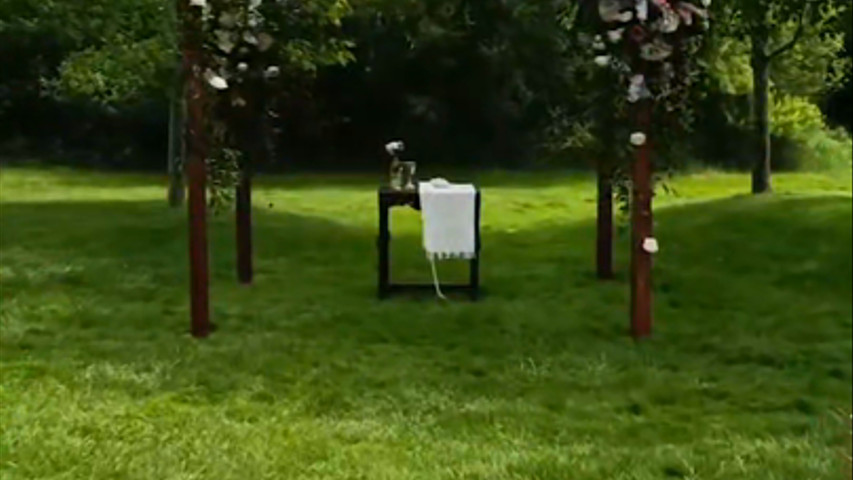 Orchid House Wedding