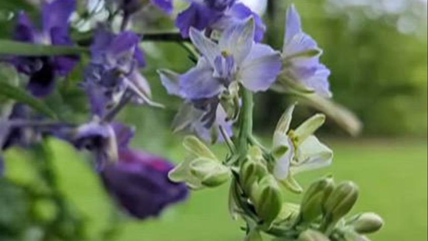 Cuyahoga Valley National Park Garden Ceremony