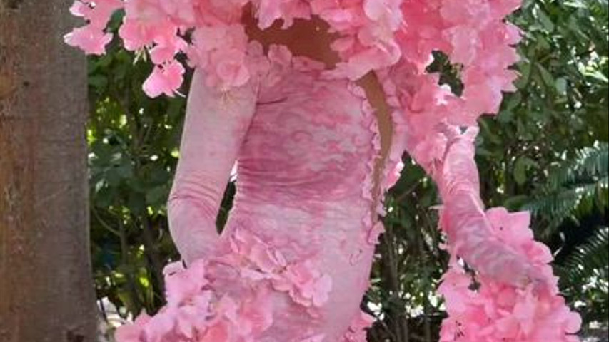 The Living Cherry Blossoms 