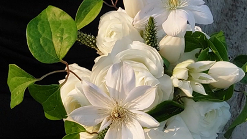 white elegant