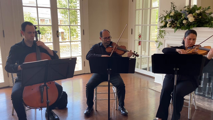 Charlotte Strings 