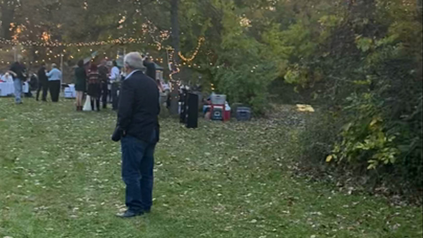 Wedding in the Woods