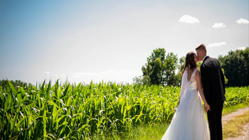 Aphrodite Studios LLC