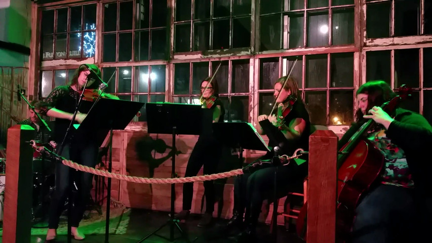 String Quartet Band