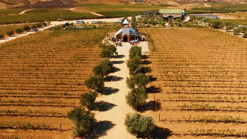 Sandy & Iñigo | Wedding Film – Love Among the Vineyards