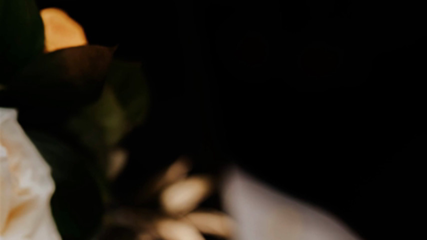 Just Bloom'd Weddings