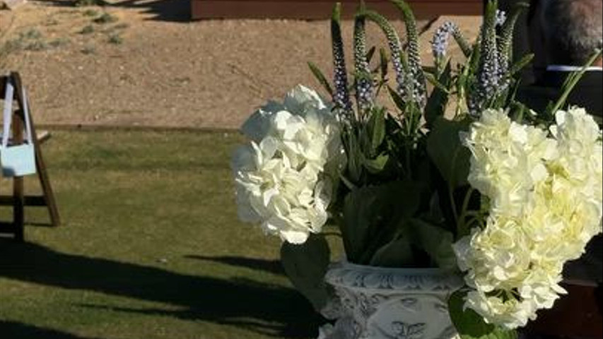 Img 9955 177023081963712