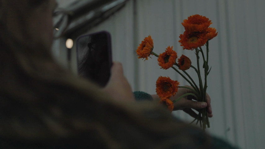 About the Michigan Flower Barn