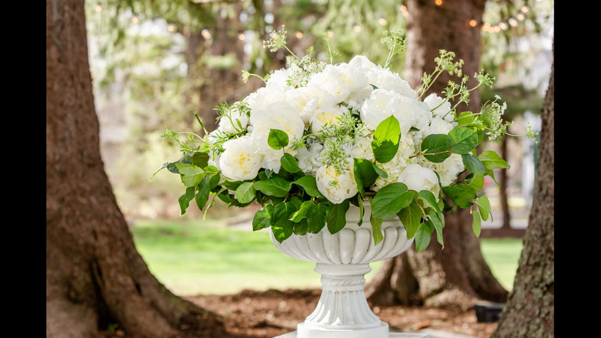 Ogunquit Maine: Intimate Wedding