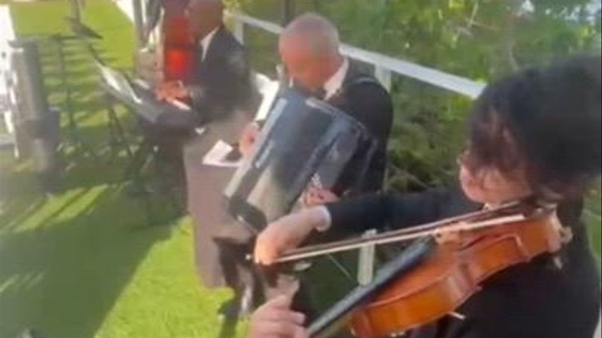The Popssical Quartet