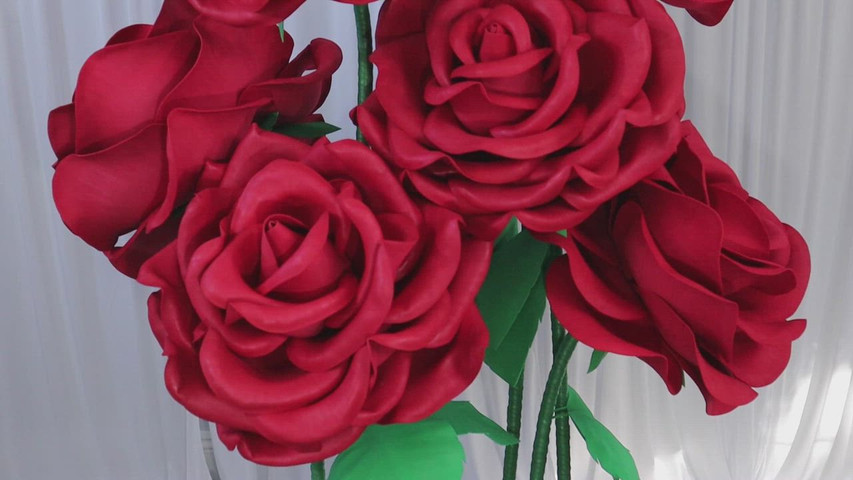 Luxury Giant Roses