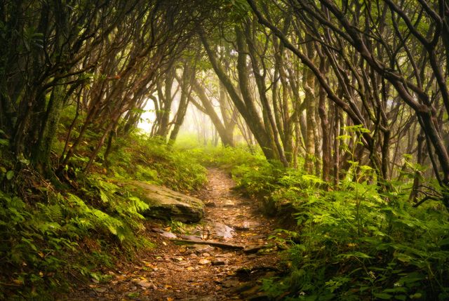 appalachian trail
