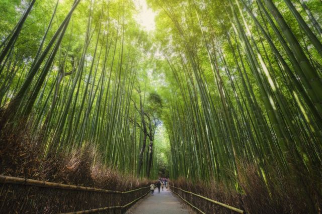 kyoto