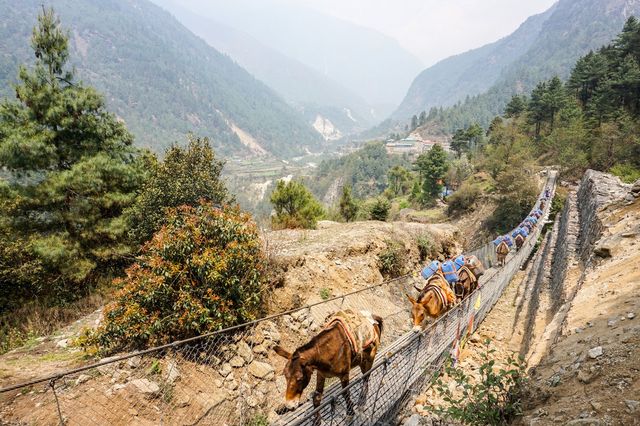 everest base camp