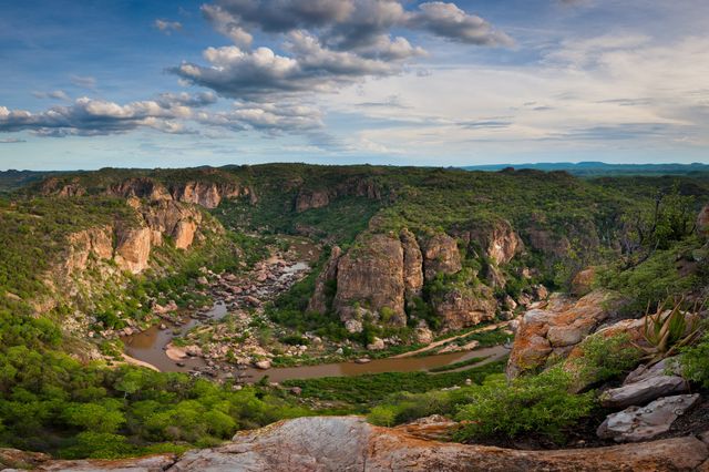 kruger national park