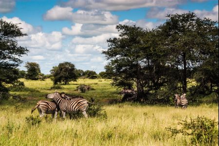 Kruger National Park