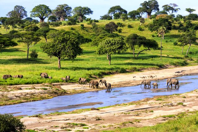 serengeti national park