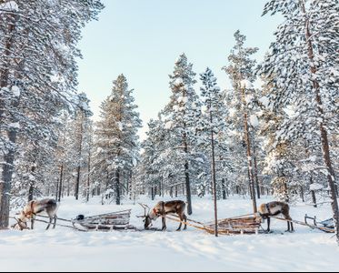 Lapland