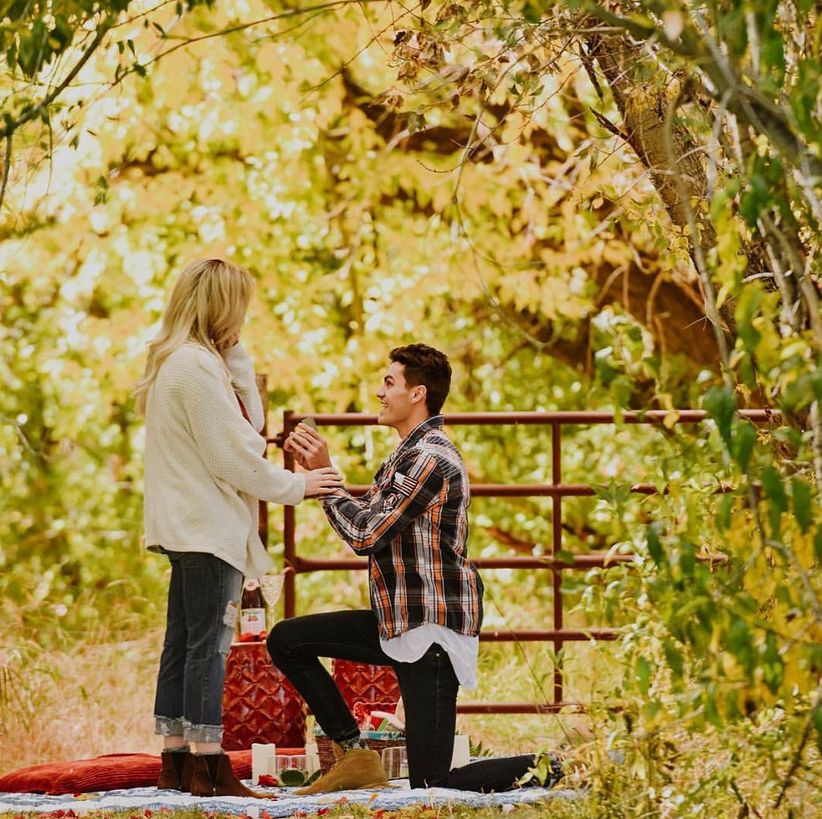 picnic wedding proposal