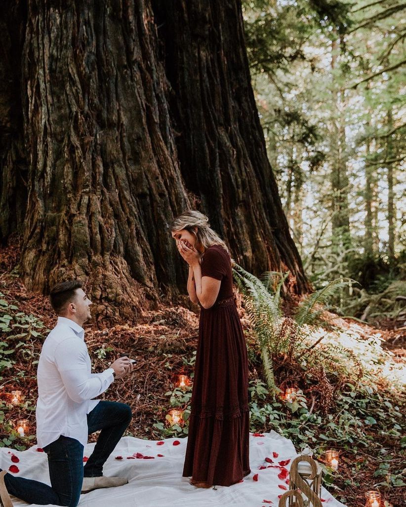 proposal in the redwoods forest