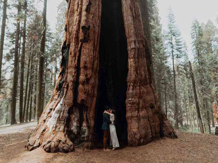 These Redwood Forest Wedding Ideas Are Seriously Magical