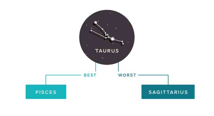 Matches zodiac signs best The Most