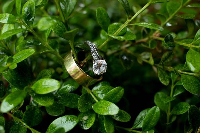 Dana & Genea's wedding 3