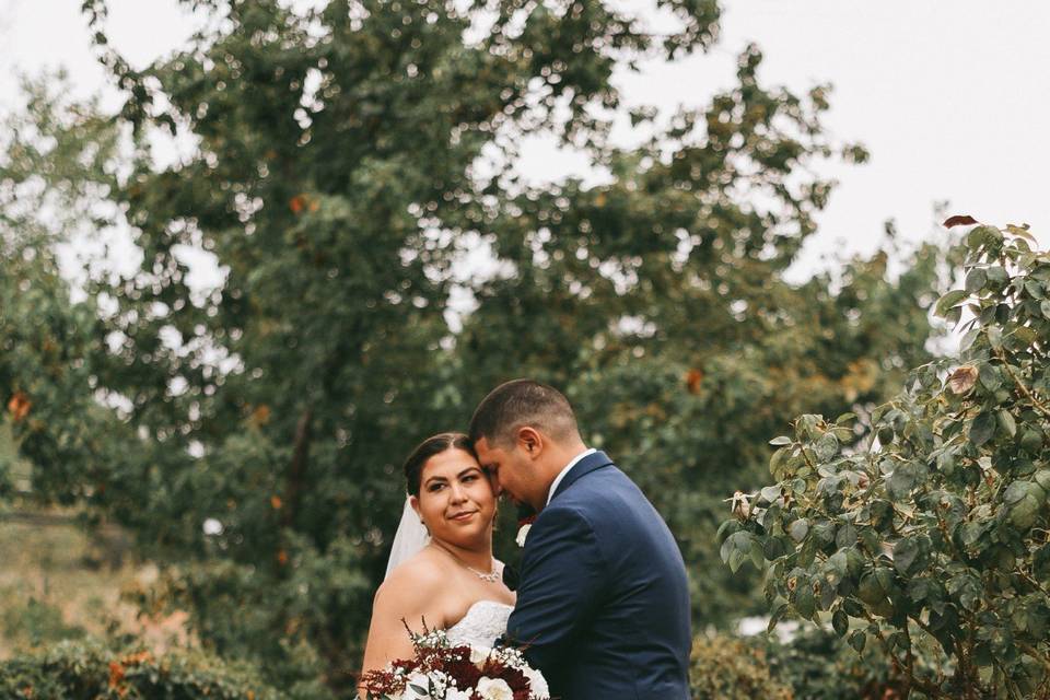 Courtney & Daniel's wedding