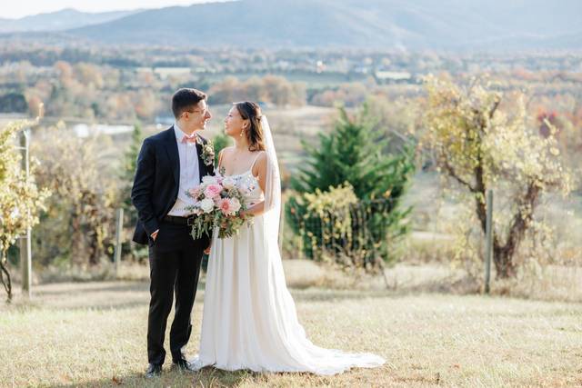 Valley Road Vineyards 3