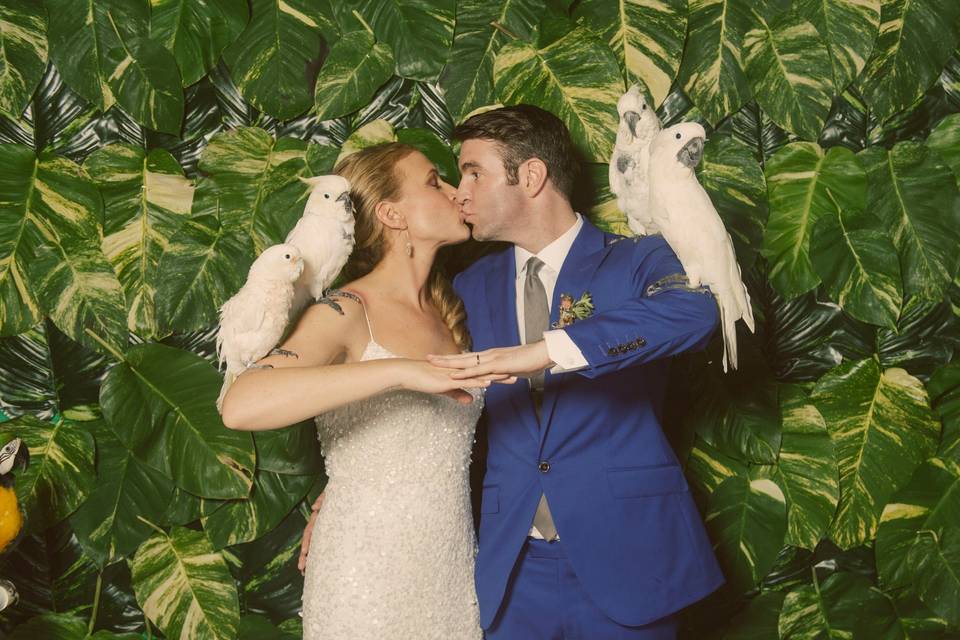 Diana  & Stephan 's wedding