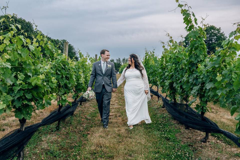 The Vineyards at Aquebogue