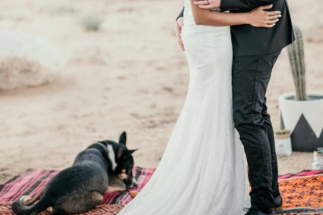 Samantha & Jason's wedding 2