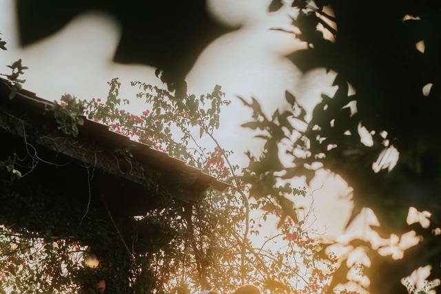 Lover’s Collective 2