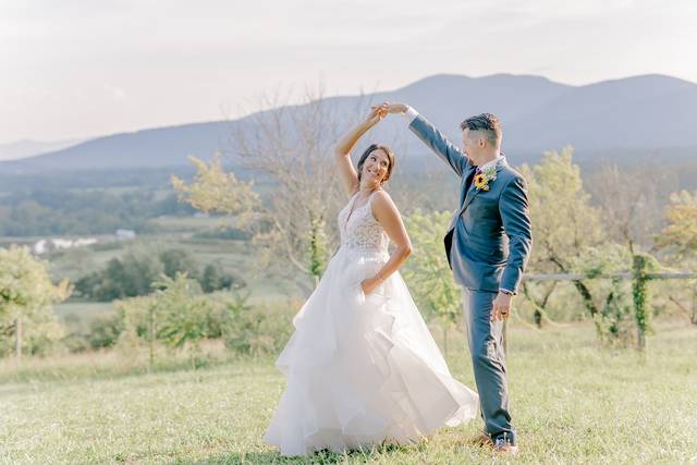 Valley Road Vineyards 2