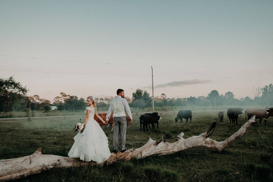 Lauren & Brandon's wedding