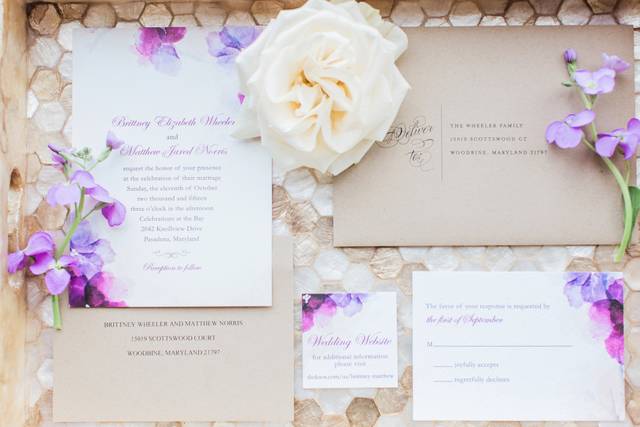 The wedding of Matt and Brittney 2