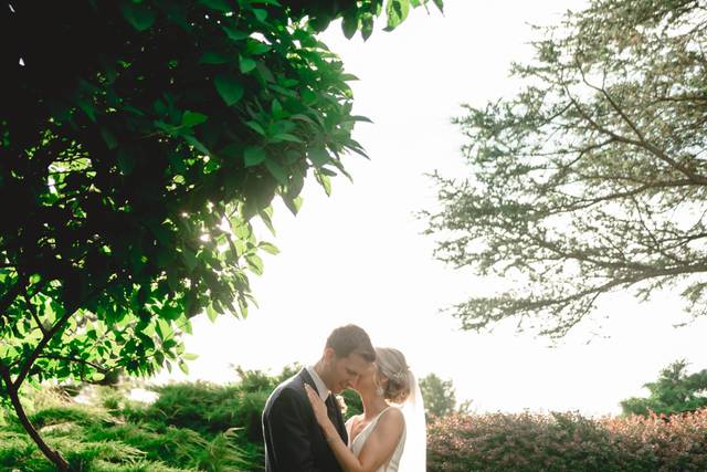 Sarah & Jerry's wedding 1