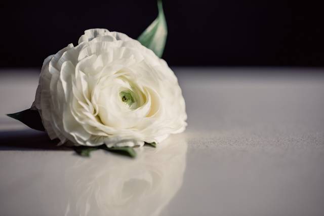 The wedding of Jenny and Klodian 3