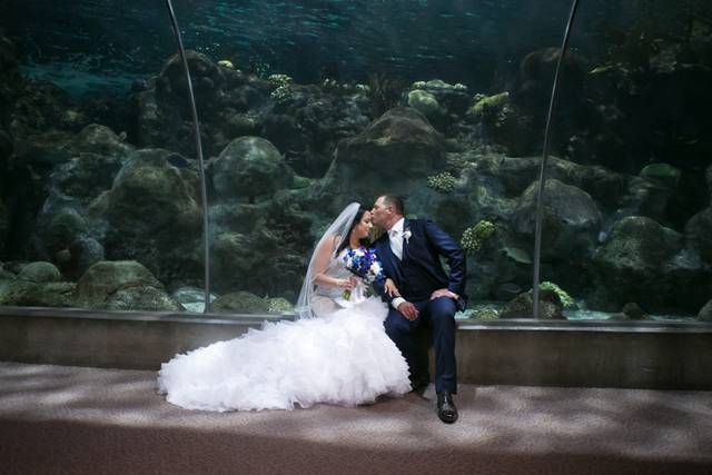 The Florida Aquarium 1
